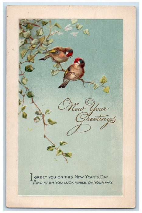 c1910's New Year Greetings Birds Winsch Back Embossed Unposted Antique Postcard