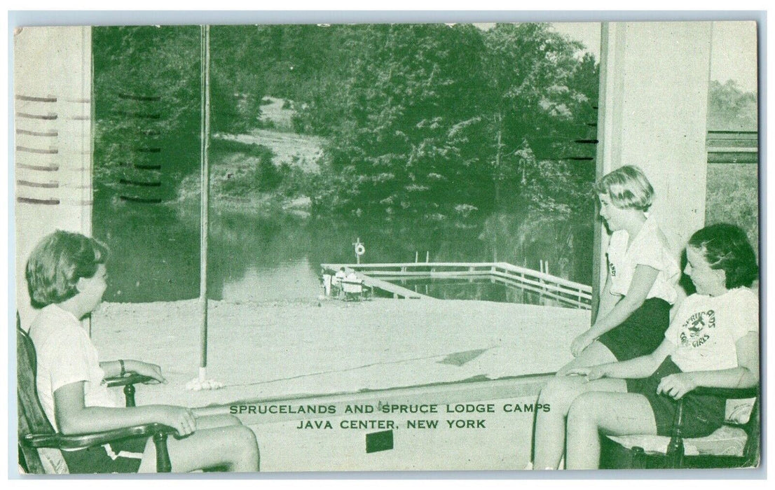 1957 Sprucelands & Spruce Lodge Camps Java Center Buffalo New York NY Postcard