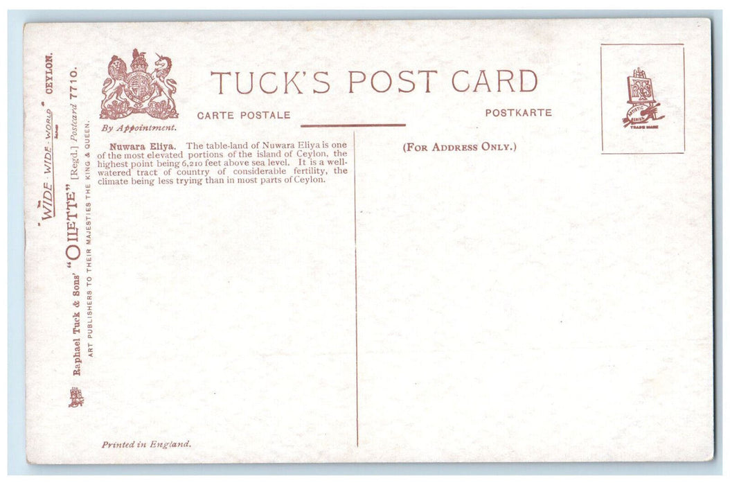 c1910 Boat Animal River Nuwara Eliya Ceylon/Sri Lanka Oilette Tuck Art Postcard