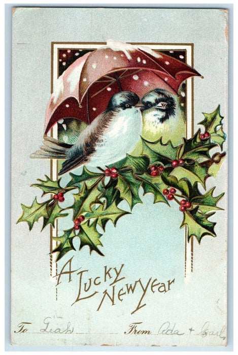 1908 New Year Love Birds Holly Berries Winter Snow Clappsadle (?) Postcard