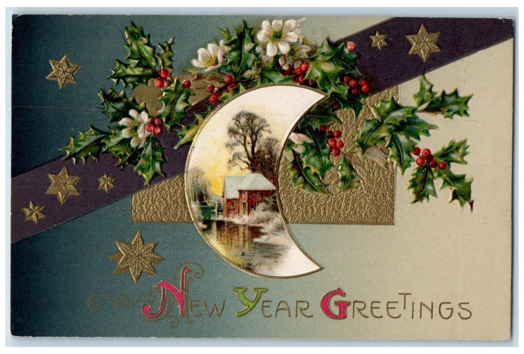 New Year Greetings Crescent Flowers Holly Stars Winter Winsch Back Postcard