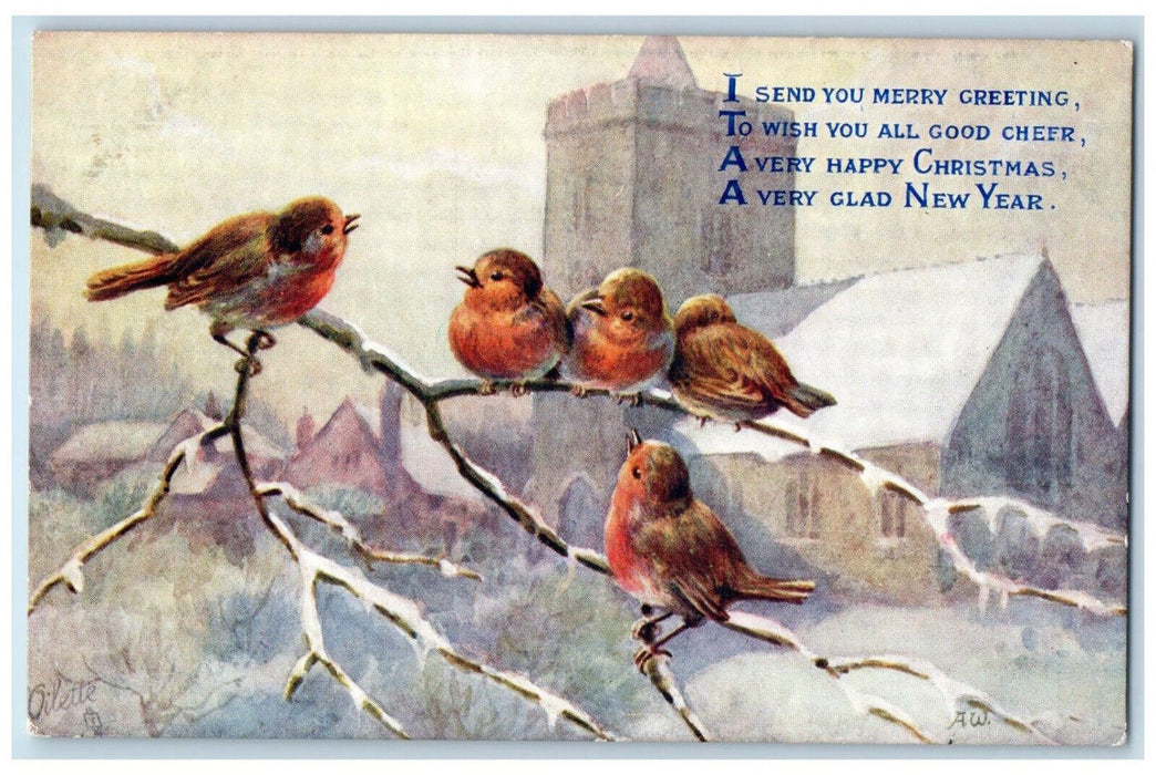 1916 Robin Redbreast Bird Christmas New Year Greeting Oilette Tuck Art Postcard