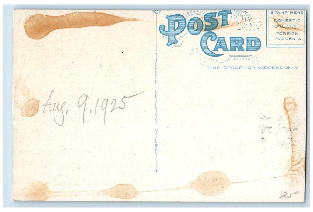 Greetings From Cherry Valley New York NY, Dirt Road Flower And Trees Postcard