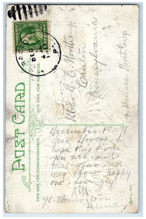 1911 Christmas Pointessia Flowers Winter Snow Embossed Posted Antique Postcard