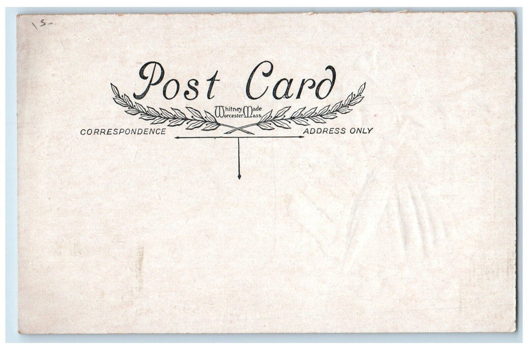 Christmas Little Gil Cat Present Umbrella Bird Pine Tree Antique Postcard