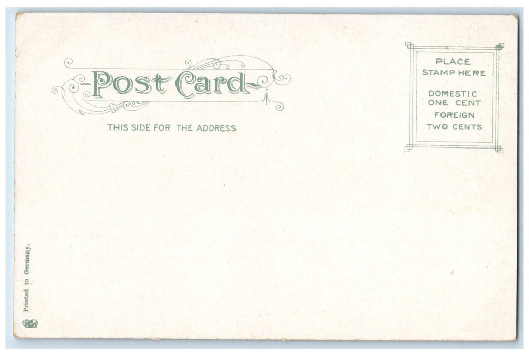 c1905 Public Library Building Wellesley Massachusetts MA Antique Postcard