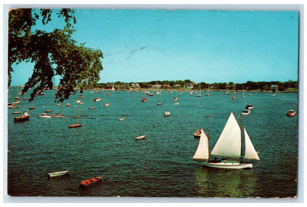 1963 Marblehead Harbor From Crocker Park Marblehead Massachusetts MA Postcard