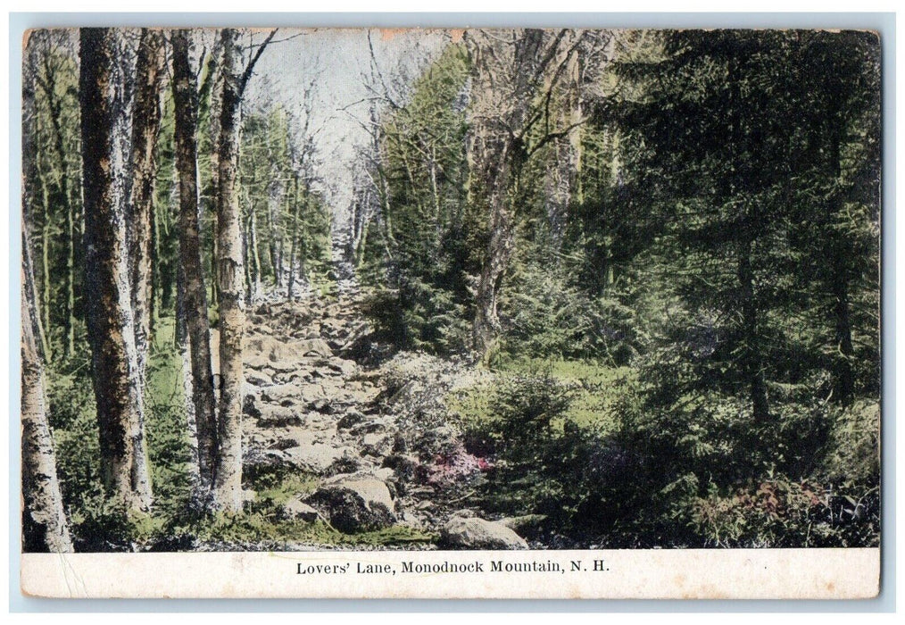 c1910's Lover's Lane Forest Monadnock Mountain New Hampshire NH Antique Postcard