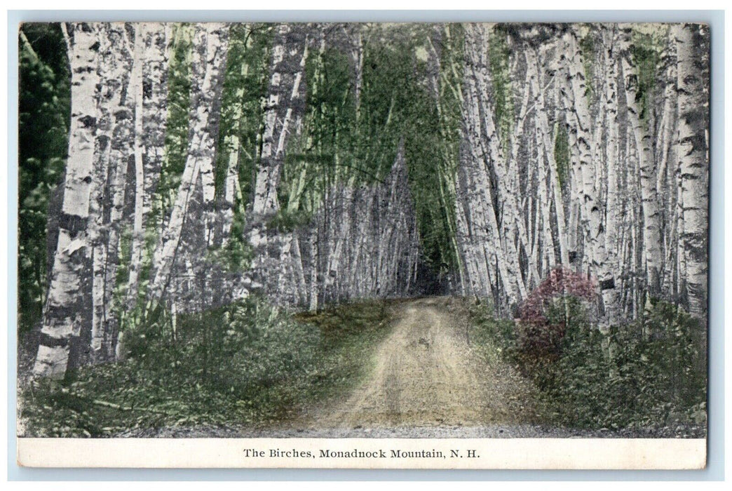 c1910's The Birches Monadnock Mountain New Hampshire NH Antique Postcard