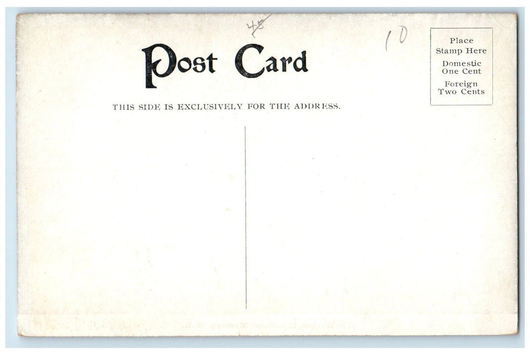c1910's The Birches Monadnock Mountain New Hampshire NH Antique Postcard