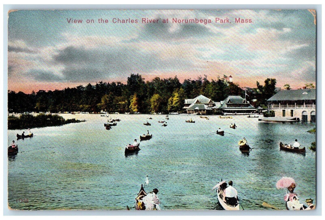 View On The Charles River Norumbega Park Lexington Massachusetts MA Postcard