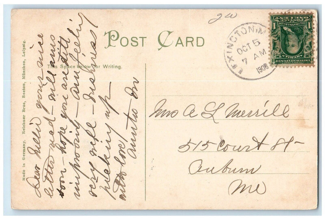 View On The Charles River Norumbega Park Lexington Massachusetts MA Postcard