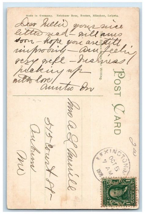 View On The Charles River Norumbega Park Lexington Massachusetts MA Postcard