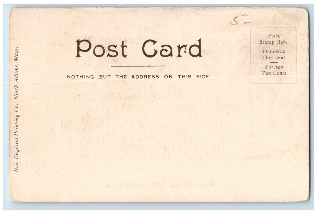 c1905's Public Library Statue Street View North Adams Massachusetts MA Postcard