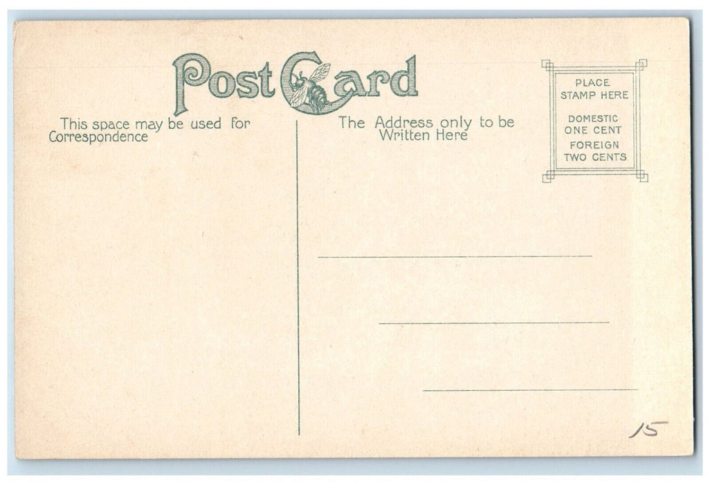 c1910 Mrs Mary Baker Eddy's Home Pleasant View Concord New Hampshire NH Postcard