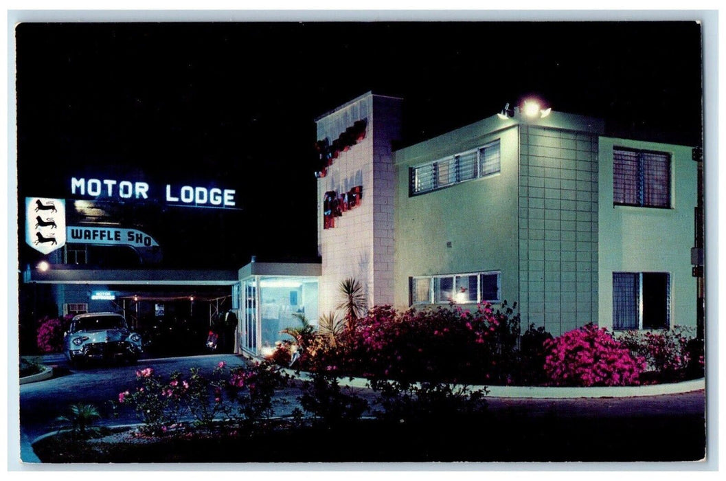 Gifford Arms Hotel Apartments Motor Lodge Night View Orlando Florida FL Postcard