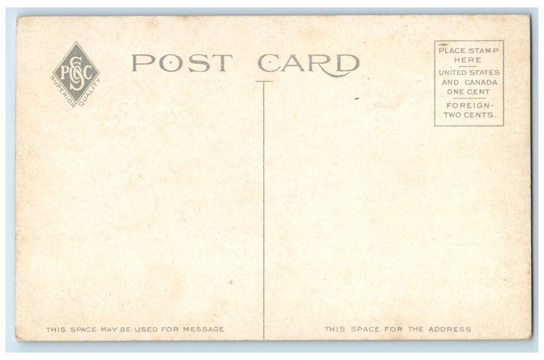 c1910's New City Library Building Springfield Massachusetts MA Antique Postcard