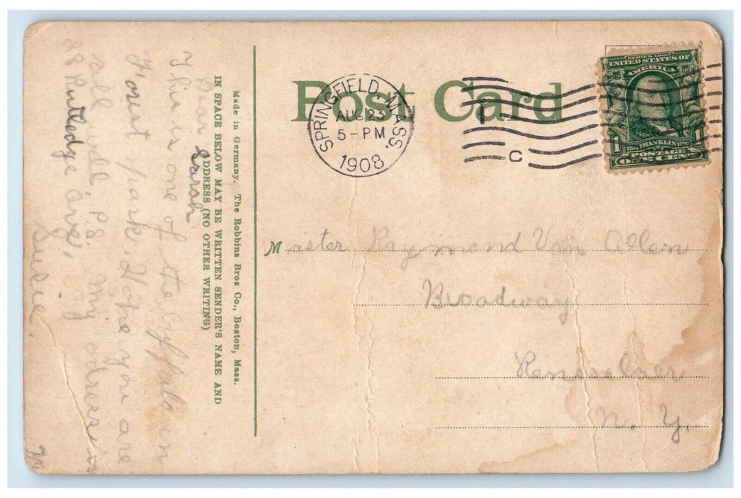 1908 Buffalo Forest Park Springfield Massachusetts MA Posted Antique Postcard