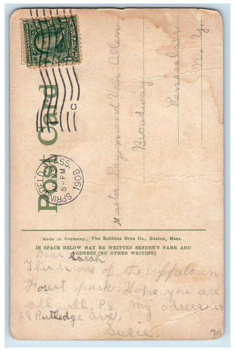 1908 Buffalo Forest Park Springfield Massachusetts MA Posted Antique Postcard