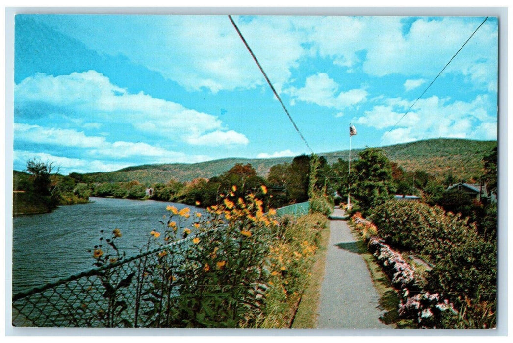 The Bridge Of Flowers At Shelburne Falls Massachusetts MA Vintage Postcard