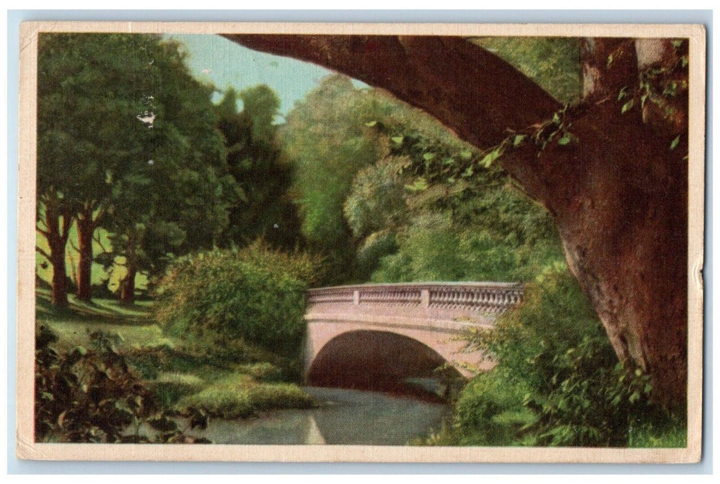 c1910's View Of River Bridge Trees Scituate Massachusetts MA Antique Postcard