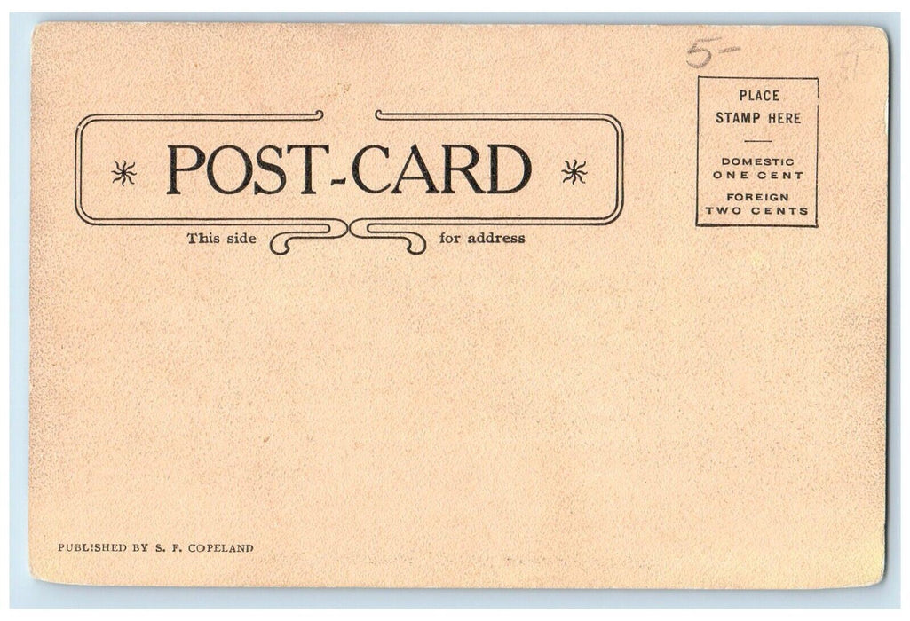 c1905 Quincy Mansion School Building Wollaston Massachusetts MA Antique Postcard