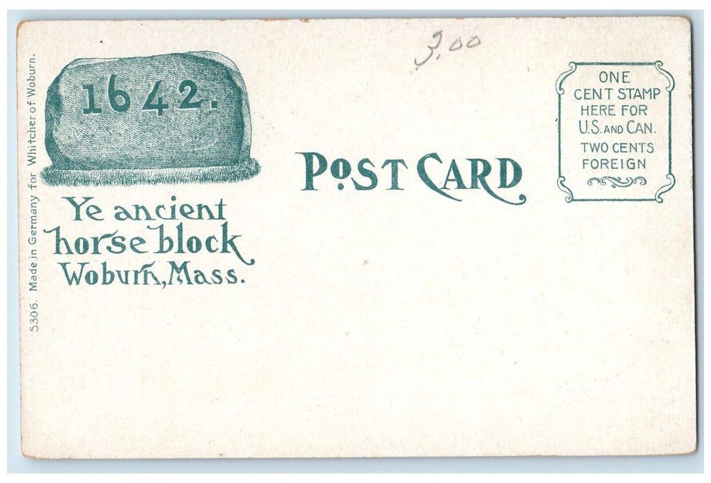 c1905 Woburn Public Library Building Woburn Massachusetts MA Vintage Postcard