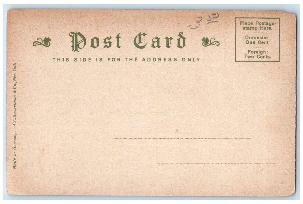 c1905 View Of The Crest Winthrop Massachusetts MA Unposted Antique Postcard
