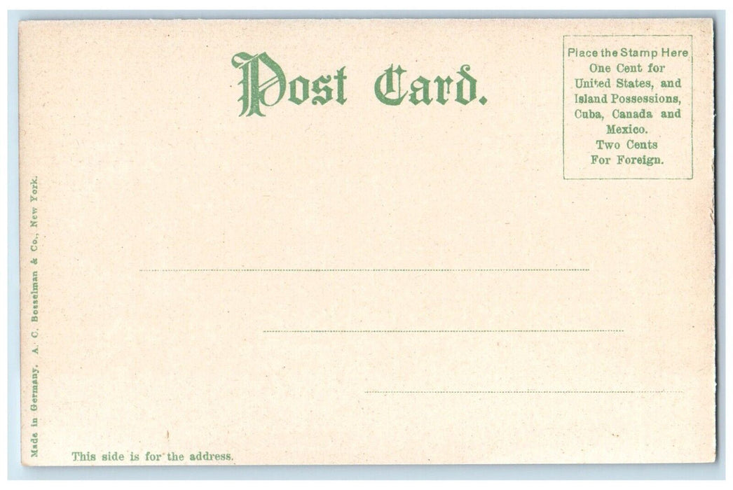 c1905 Central Street View Dirt Road Winchendon Massachusetts MA Antique Postcard