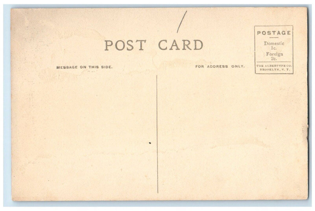 c1910's D. K. E. House Williamstown Massachusetts MA Unposted Antique Postcard