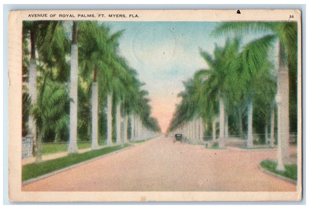 1936 Avenue Of Palms Tree Royal Fort Myers Saint Cloud Florida FL Postcard