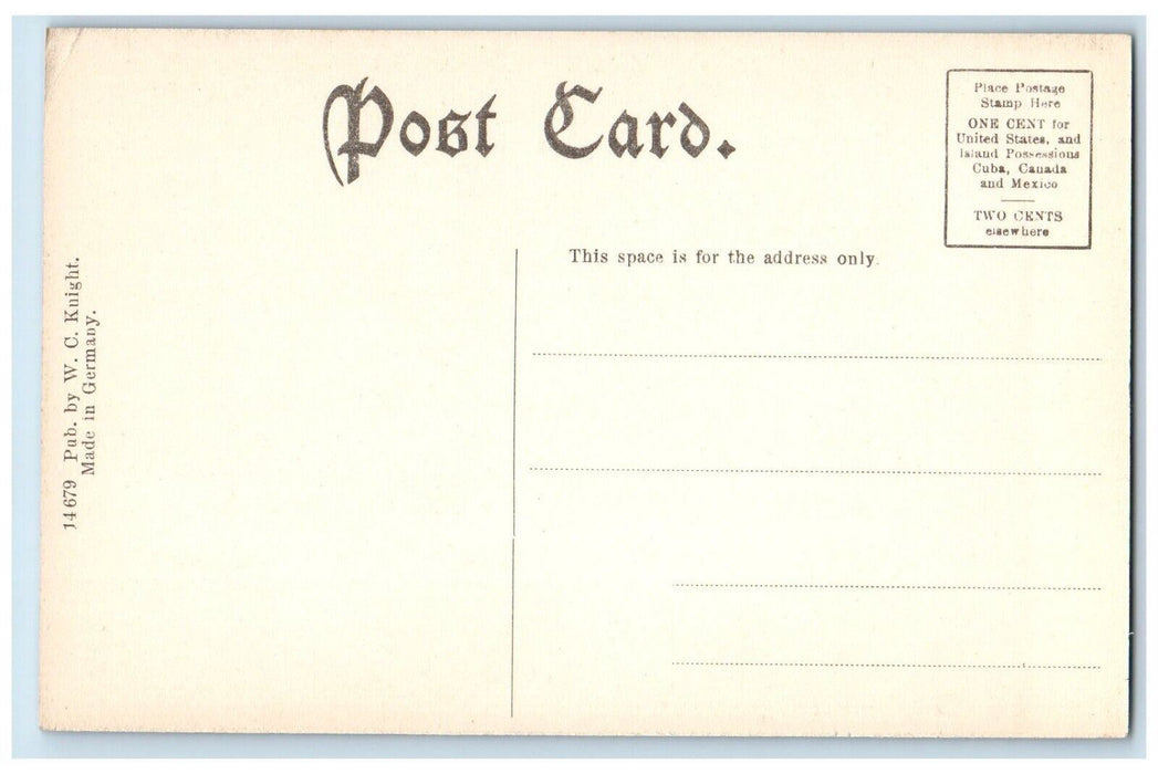 c1910 Old Flume Scenic View Milton New Hampshire NH Antique Vintage Postcard