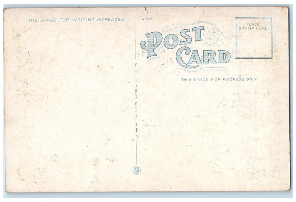 c1910 Birds Eye View Mascoma Lake Lebanon New Hampshire NH Antique Postcard