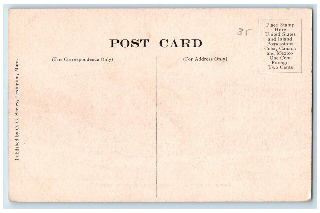 c1920's Cary Memorial Library Lexington Massachusetts MA Antique Postcard