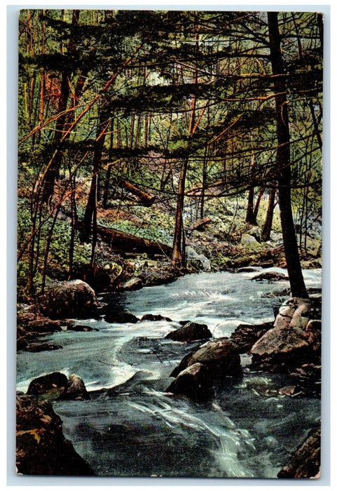 c1920's Monoosnoc Brook River Leominster Massachusetts MA Vintage Postcard