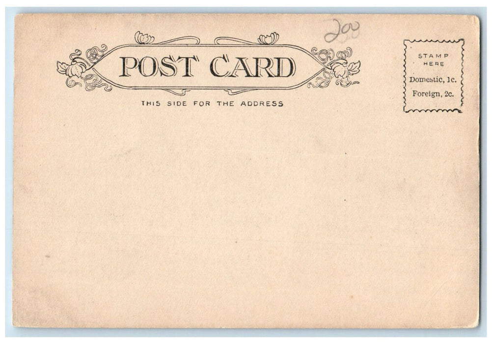 c1905 Crane's Museum of History and Art Pittsfield Massachusetts MA Postcard