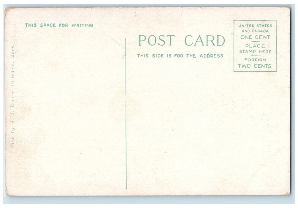 c1920's West Street Pittsfield Massachusetts MA AJ Reeves Unposted Postcard
