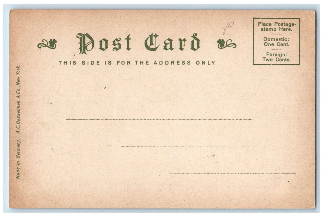 c1905 Court House Pittsfield Massachusetts MA Antique Unposted Postcard