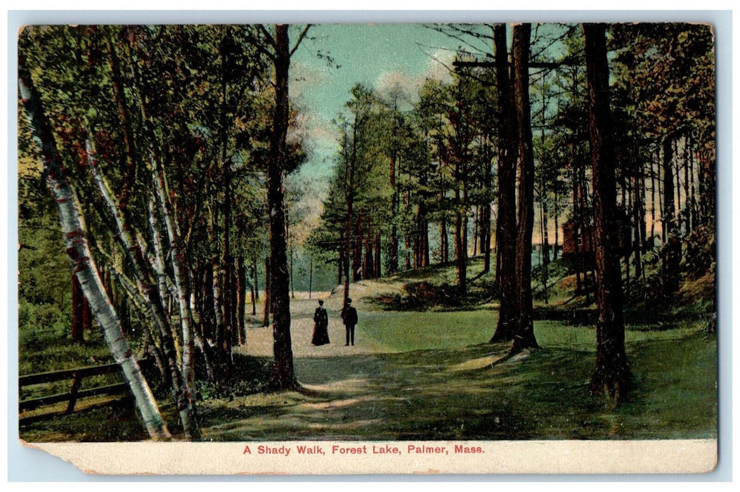 c1910 A Shady Walk Forest Lake Palmer Massachusetts MA Unposted Postcard