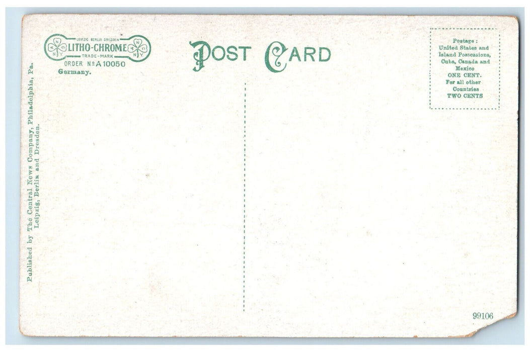 c1910 A Shady Walk Forest Lake Palmer Massachusetts MA Unposted Postcard