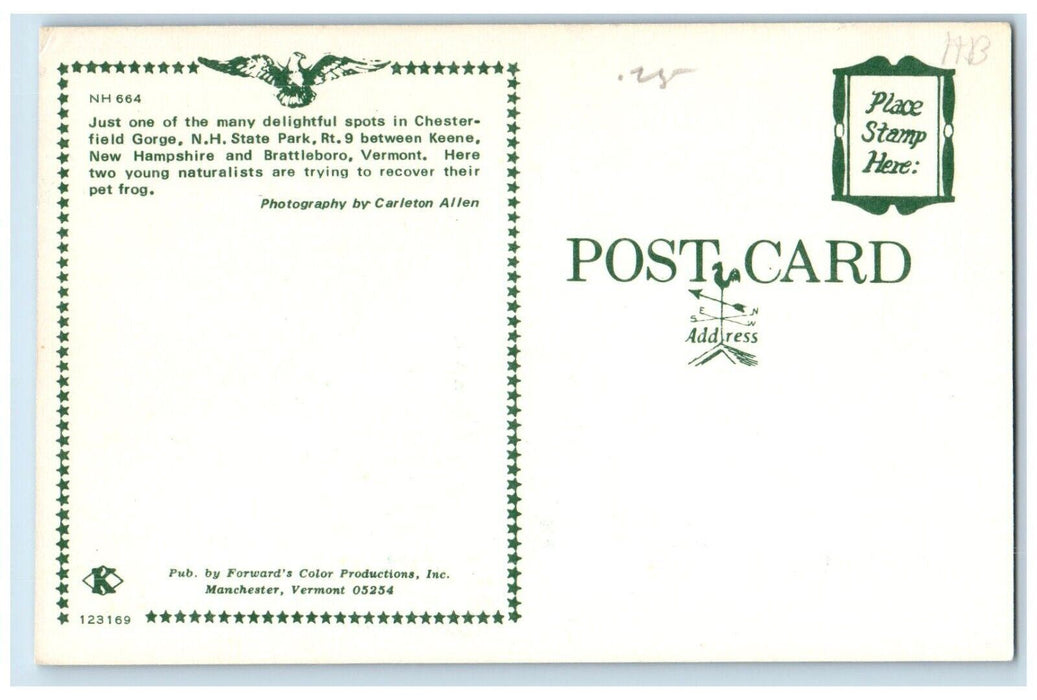 c1960 Delightful Spots Chesterfield Gorge New Hampshire NH State Park Postcard