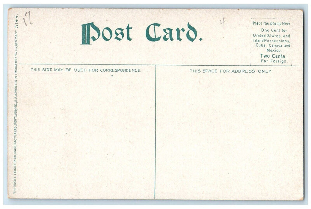 c1910 Burgees Sulphite Fibre Co Sulphite Mill Berlin New Hampshire NH Postcard
