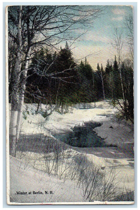 1911 Winter Snow Lake White Trees Berlin New Hampshire Vintage Antique Postcard