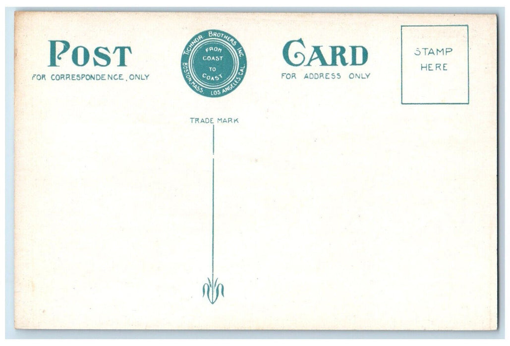 c1910 View Mt Pleasant House Bretton Woods White Mts New Hampshire NH Postcard