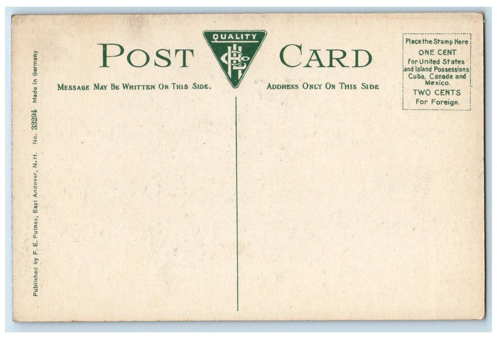 c1910 View Lake Town East Andover Grass New Hampshire Vintage Antique Postcard