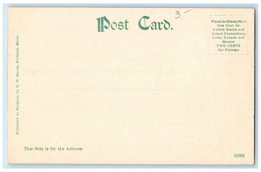 c1905 Central Square Horse Carriage Road Store Bristol New Hampshire NH Postcard