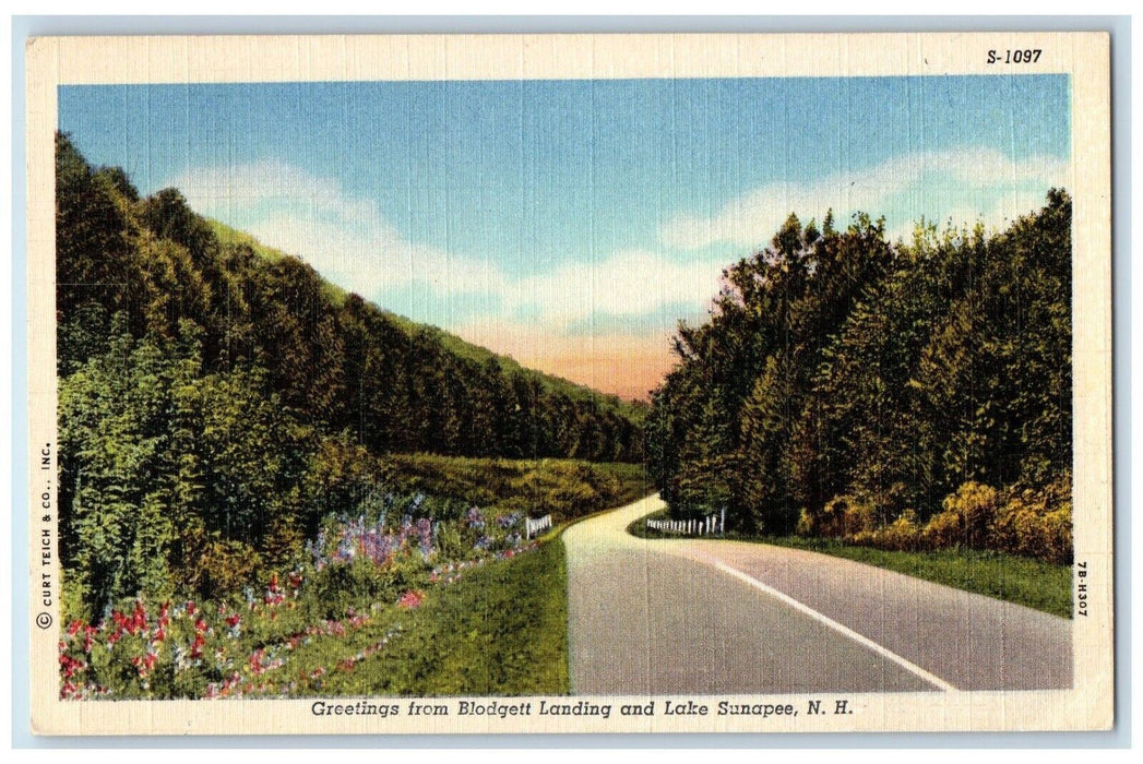 1951 Greetings Blodgett Landing Flowers Lake Road Sunapee New Hampshire Postcard