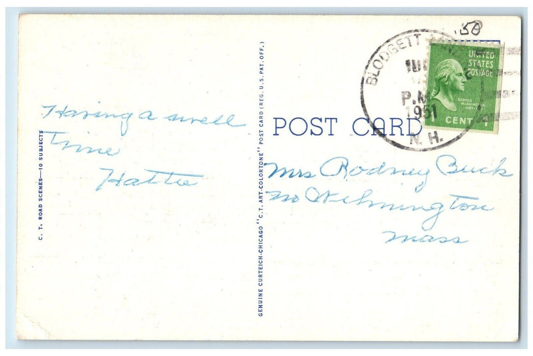 1951 Greetings Blodgett Landing Flowers Lake Road Sunapee New Hampshire Postcard