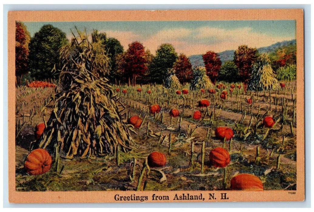 c1940 Greetings From Ashland Pumpkin Farm Vegetable Trees New Hampshire Postcard