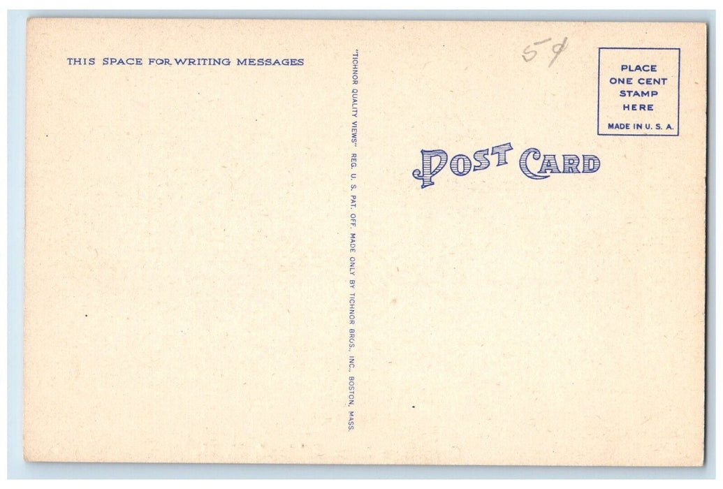 c1940 Greetings From Ashland Pumpkin Farm Vegetable Trees New Hampshire Postcard